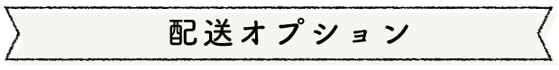 配送オプション